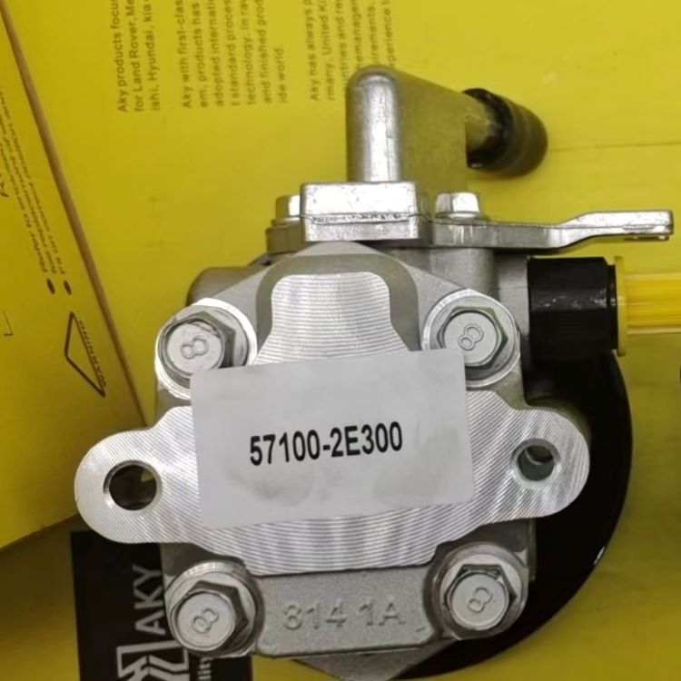 57100-2E300